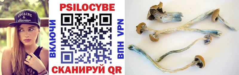 Галлюциногенные грибы мицелий где продают OMG tor Краснообск